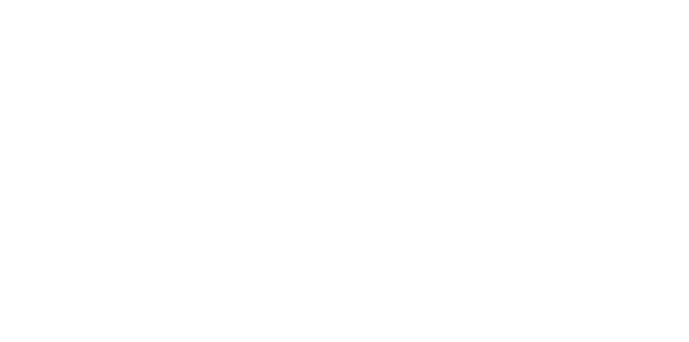 NMS Insurance Group Logo