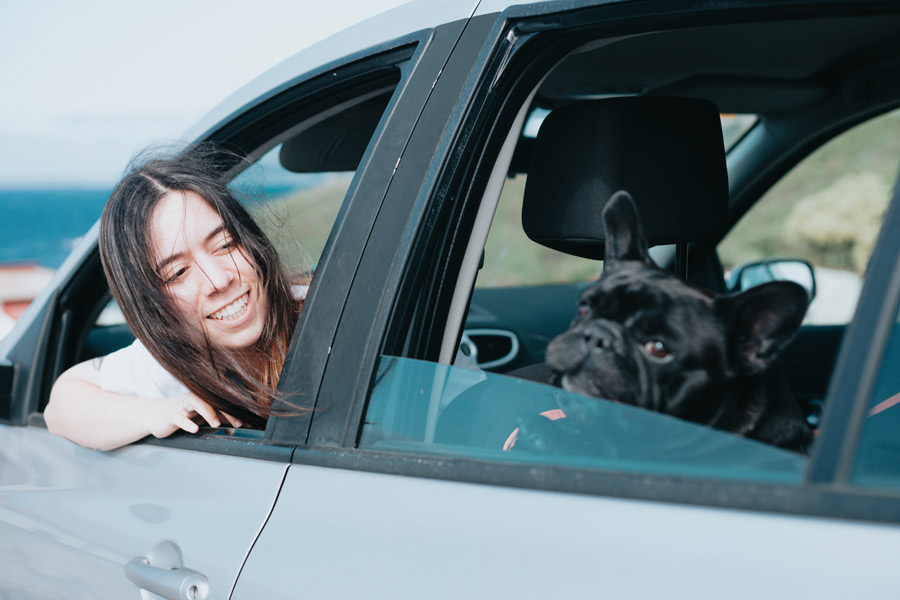 Woman and dog sitting in car